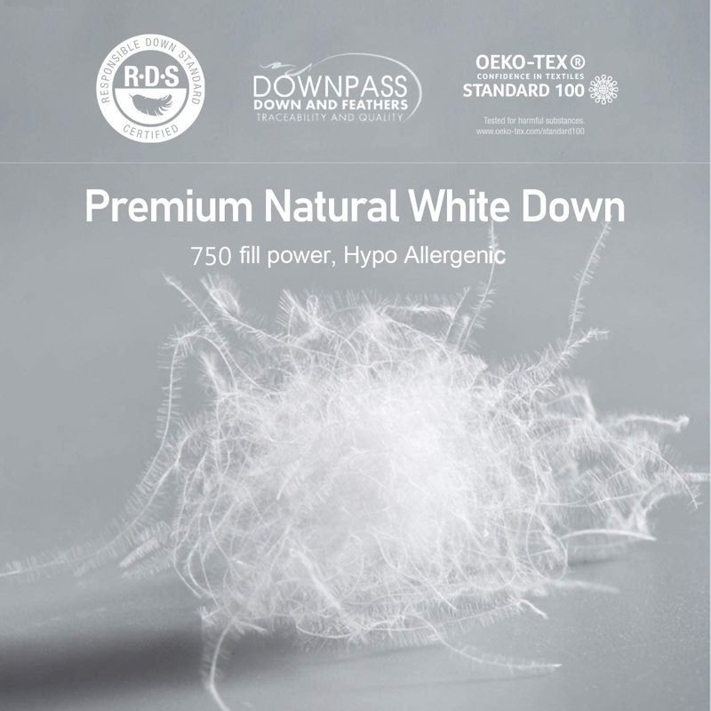 Latitude Run® Lightweight Cooling Goose Feather Down Comforter Cozy